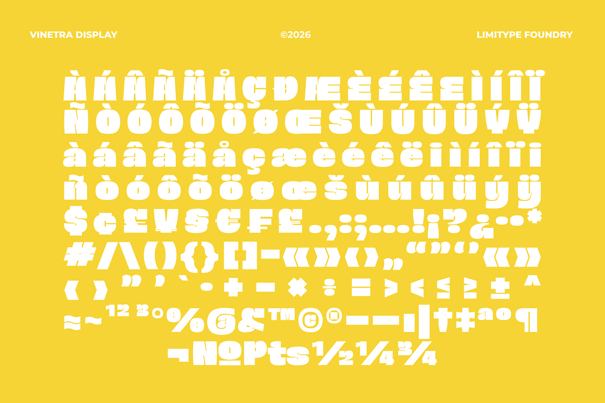 Vinetra - Bold Font Image 9