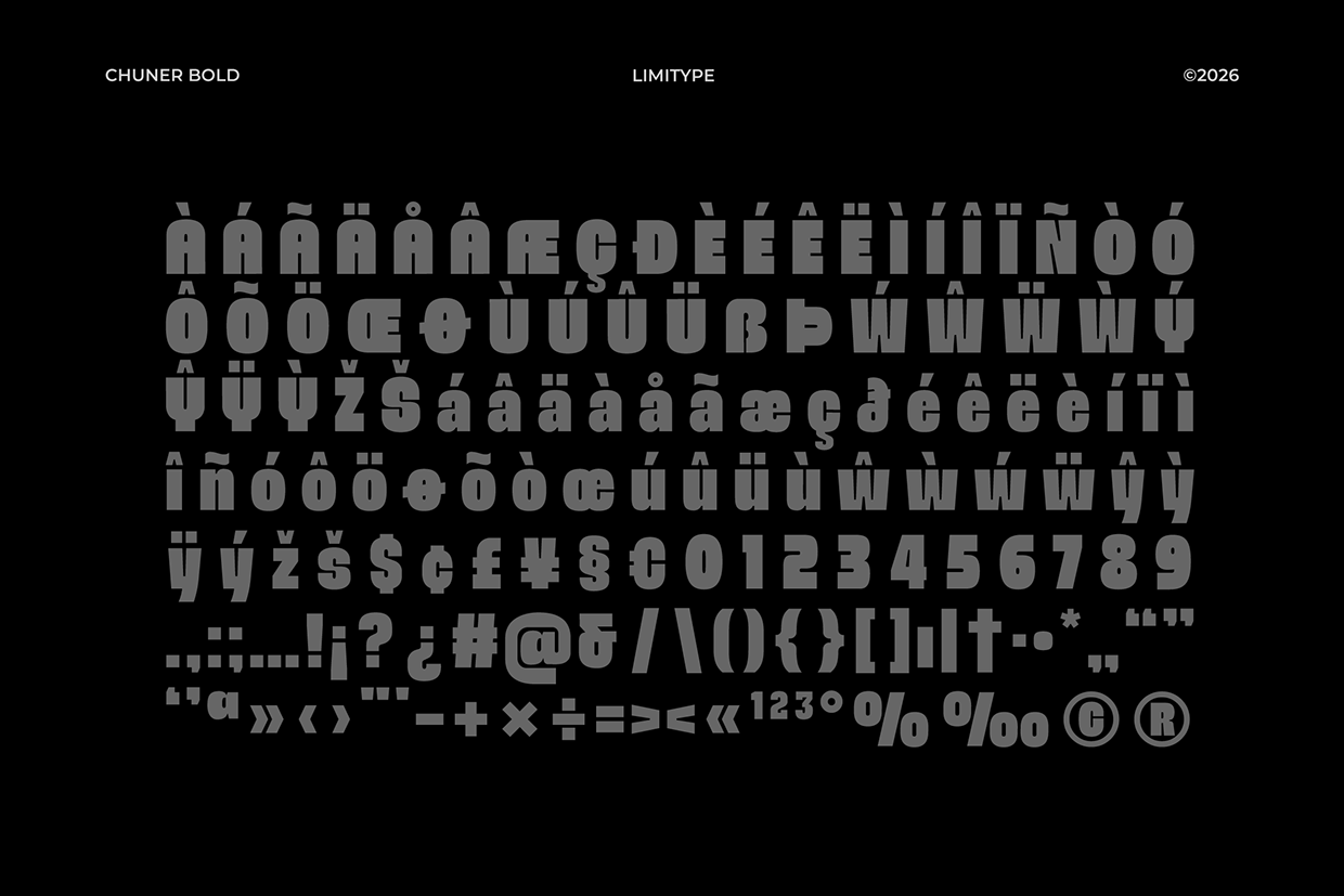 Chuner - Bold Font Image 9