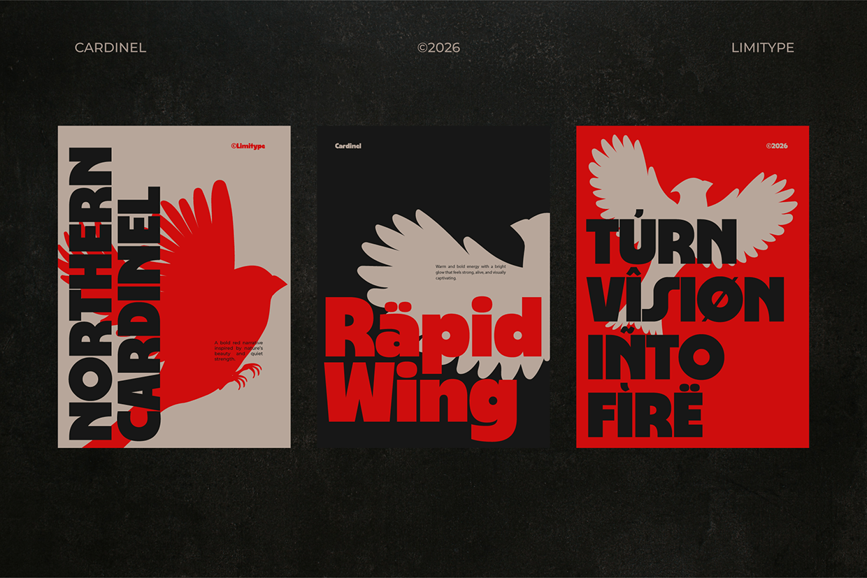 Cardinel - Bold Font Image 1