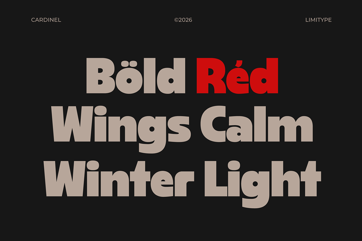Cardinel - Bold Font Image 2