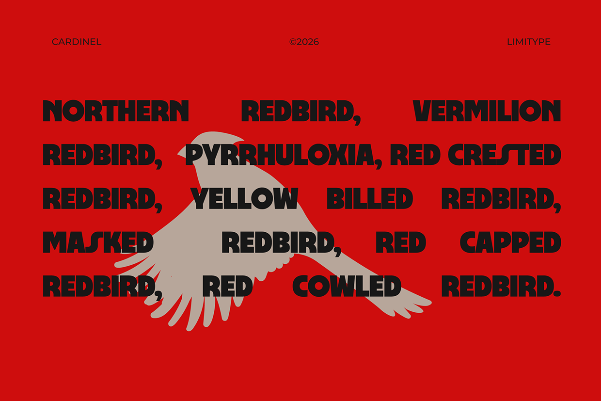 Cardinel - Bold Font Image 4