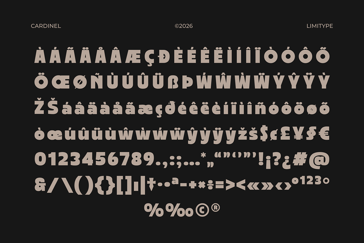 Cardinel - Bold Font Image 10