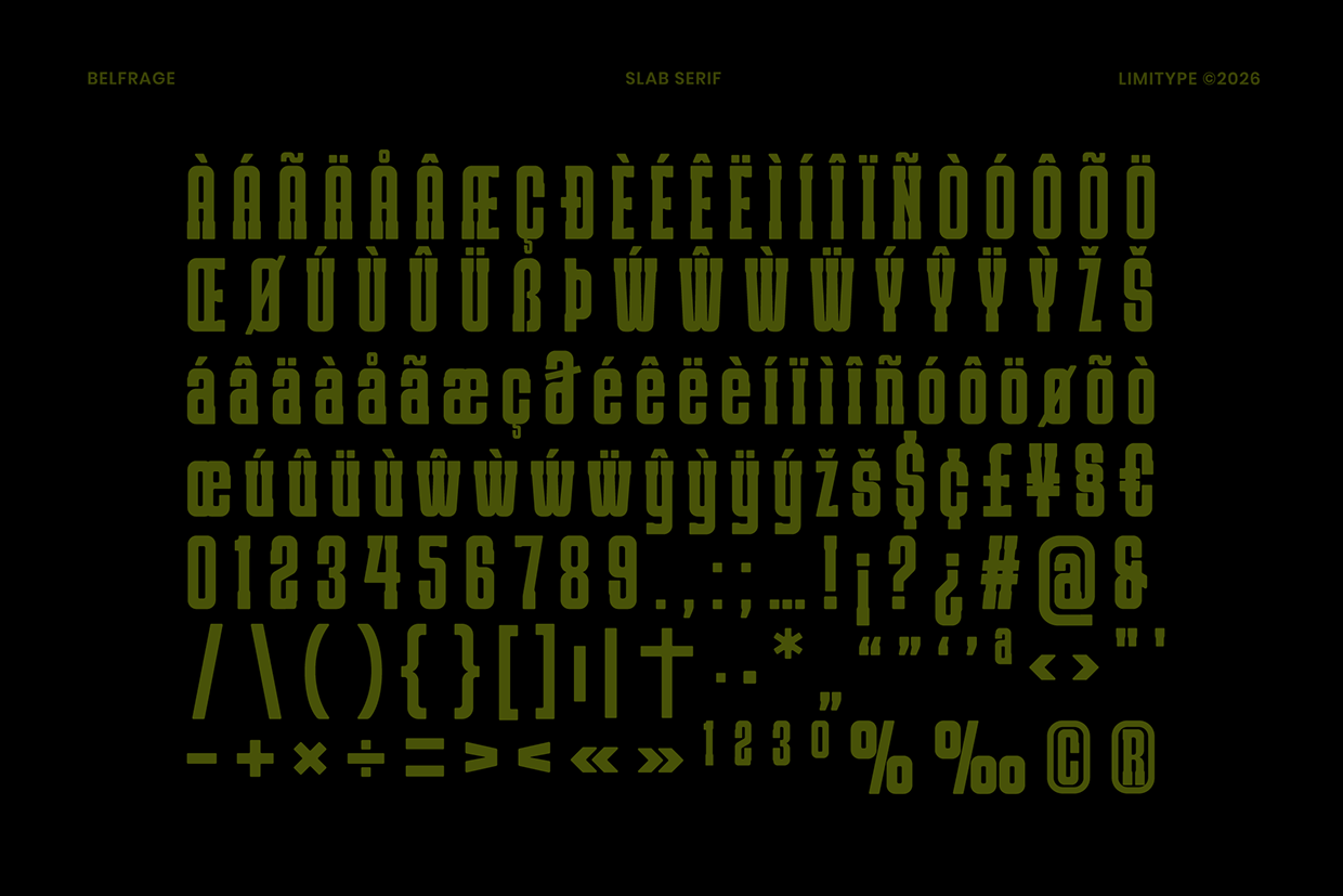 Belfrage - Slab Serif Font Image 7