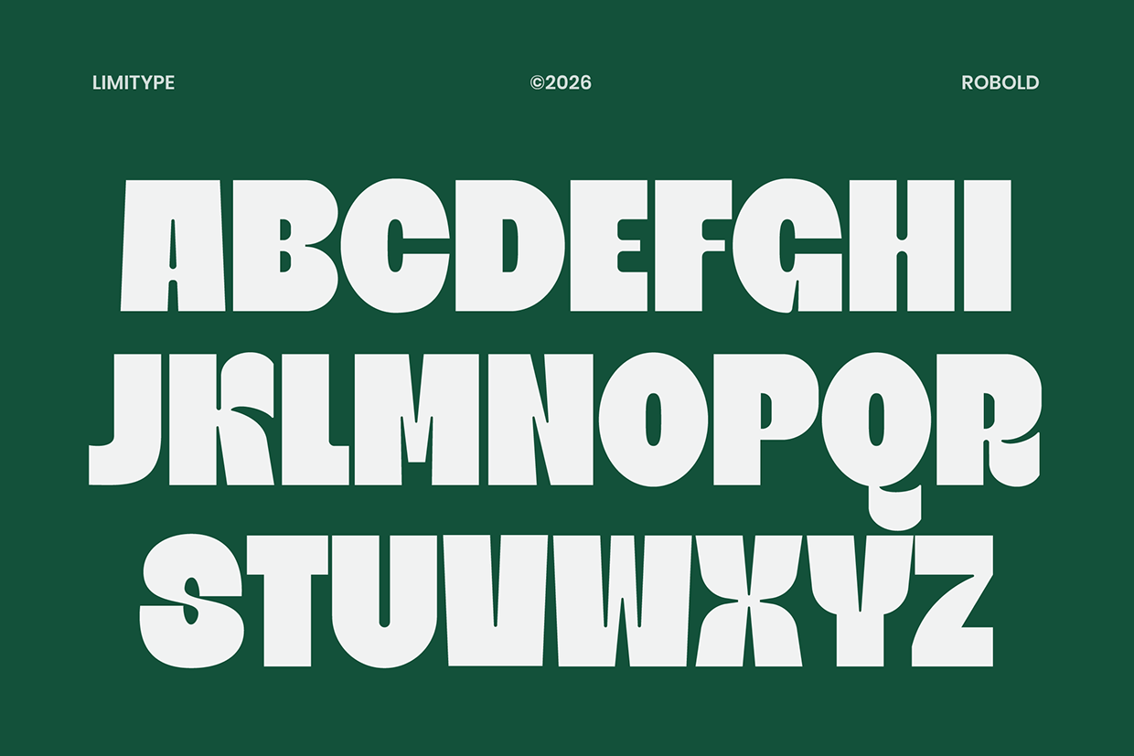 Robold - Bold Display Font Image 6