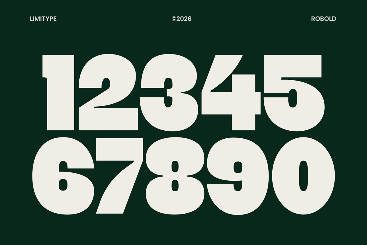 Robold - Bold Display Font Image 8