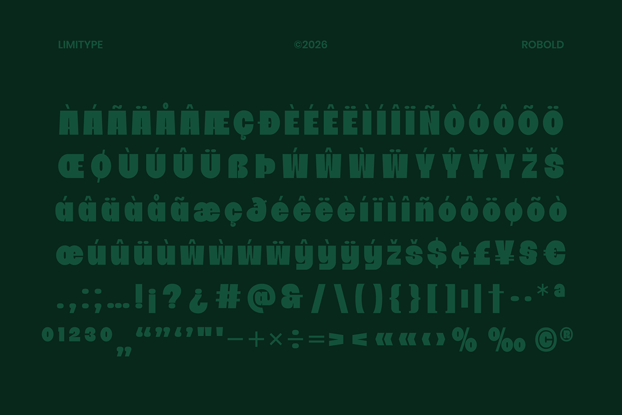 Robold - Bold Display Font Image 9