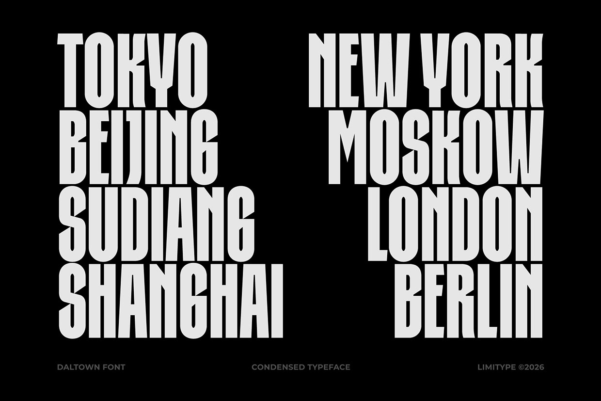 Daltown - Bold Condensed Font Image 2