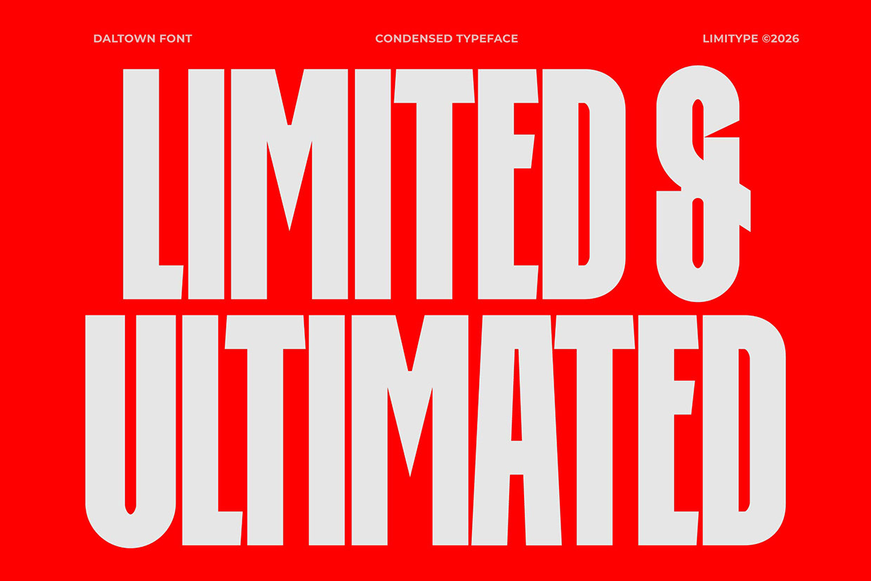 Daltown - Bold Condensed Font Image 4