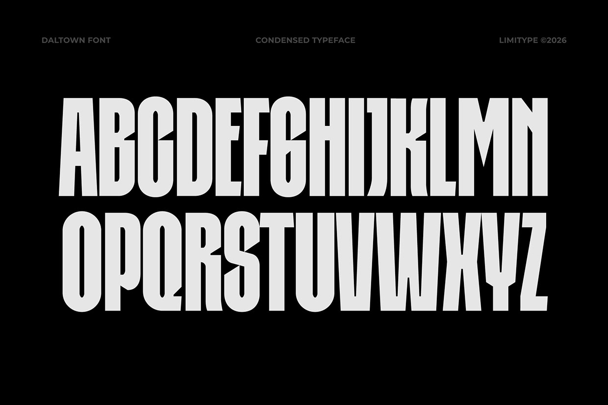 Daltown - Bold Condensed Font Image 5