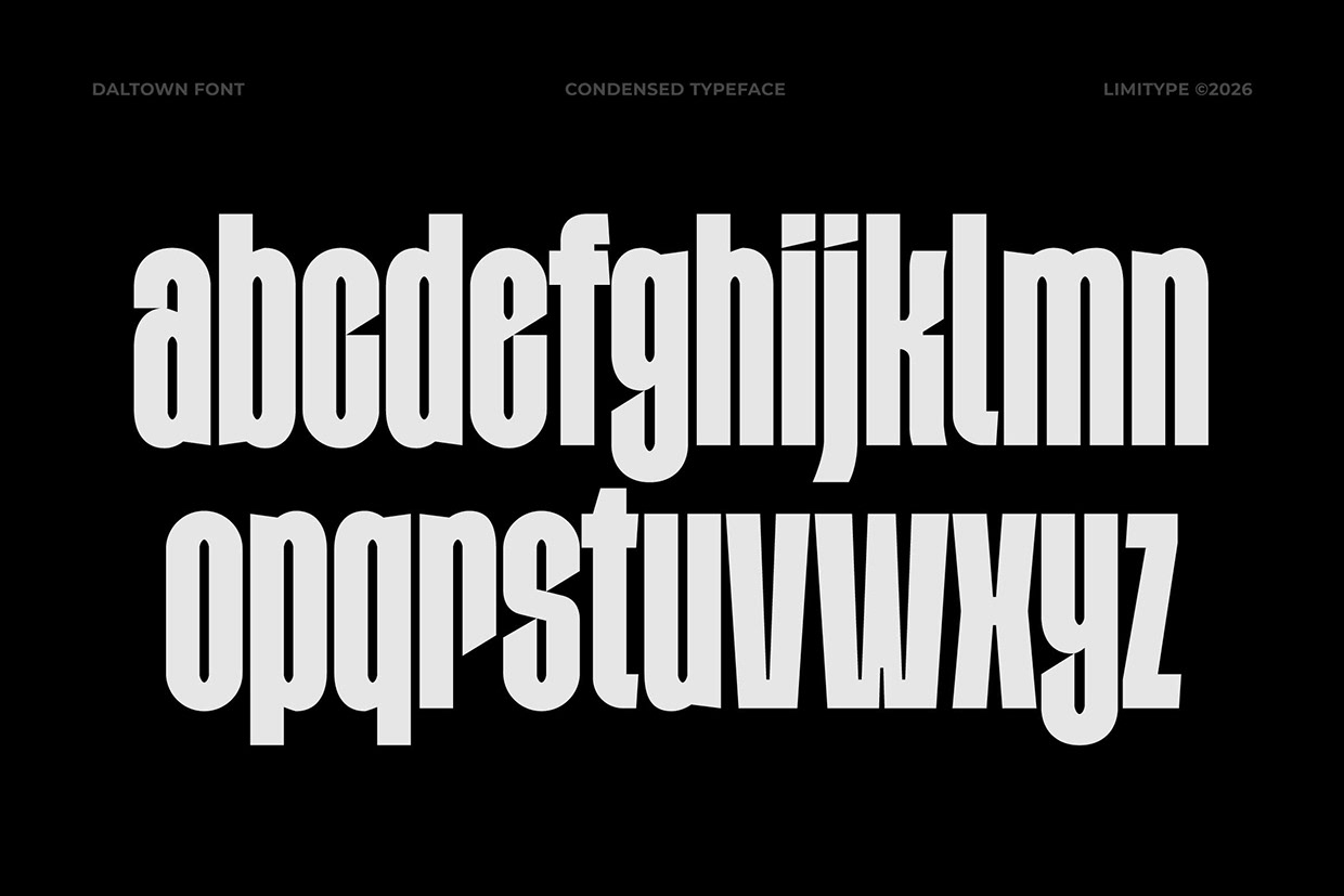 Daltown - Bold Condensed Font Image 6