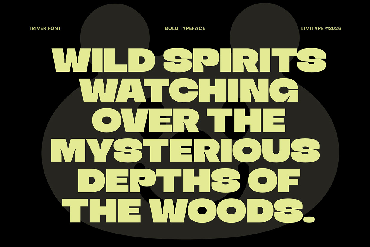 Triver - Bold Inktrap Font Image 0