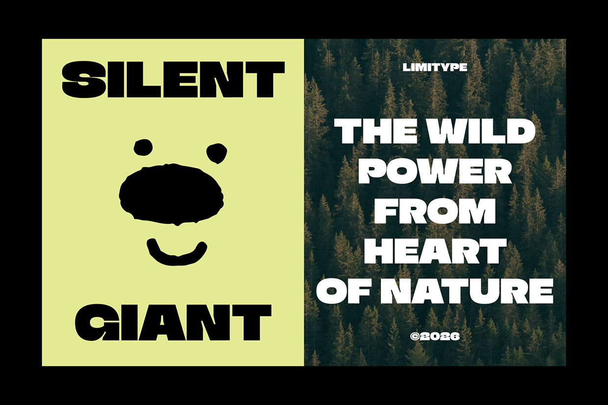 Triver - Bold Inktrap Font Image 2
