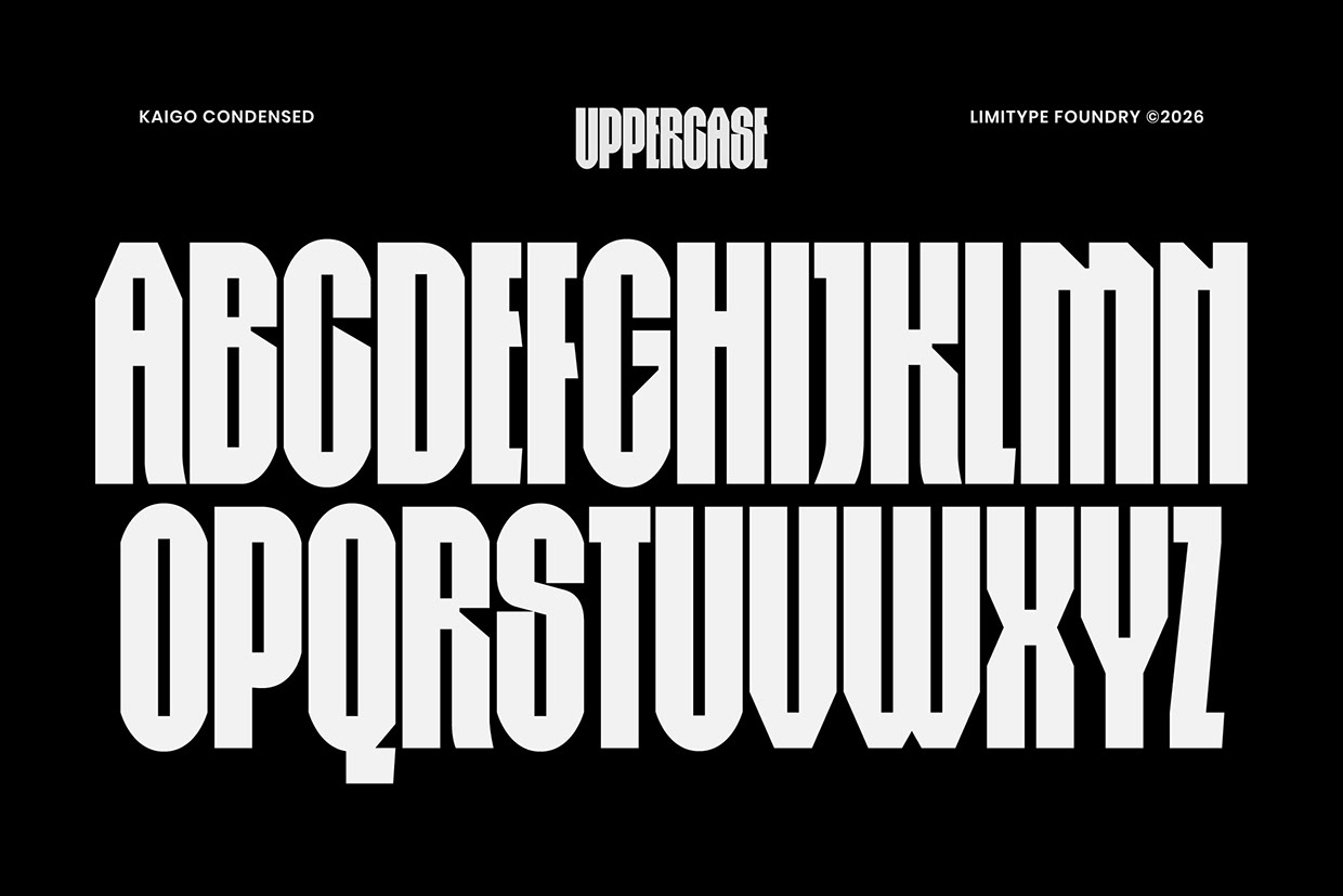 Kaigo - Bold Condensed Font Image 7