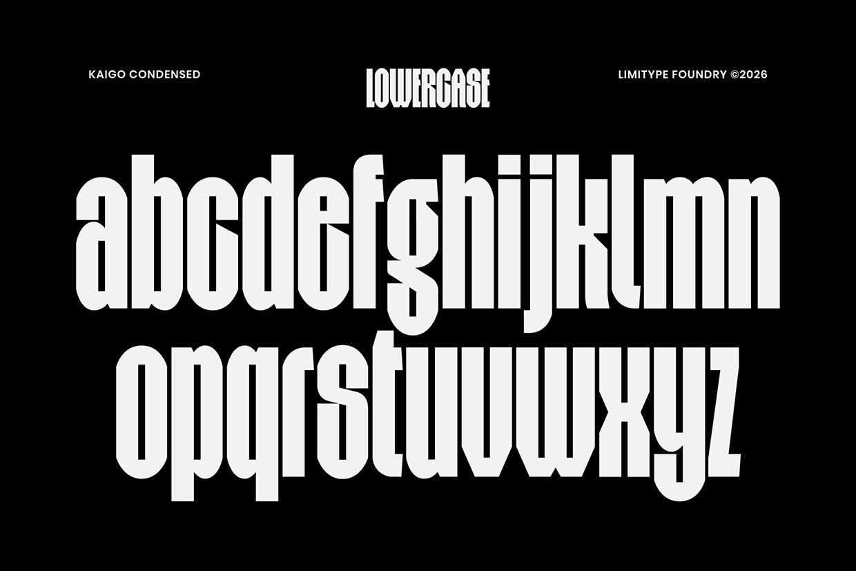 Kaigo - Bold Condensed Font Image 8