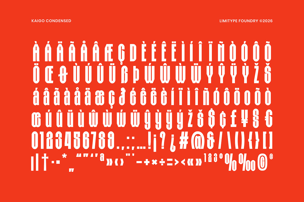 Kaigo - Bold Condensed Font Image 9