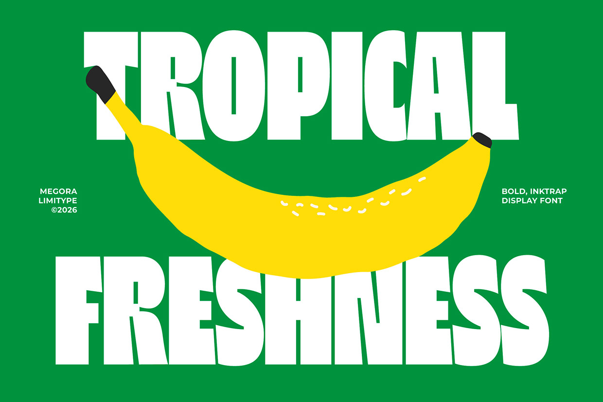 Megora - Bold Inktrap Font Image 0