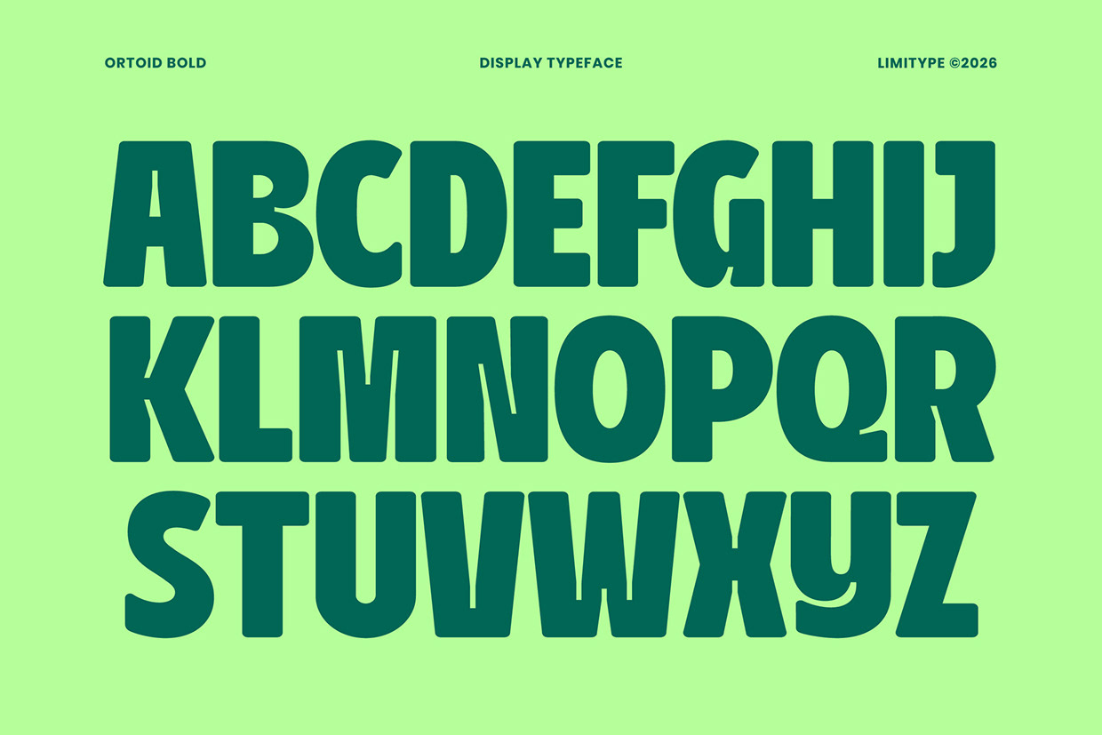 Ortoid - Bold Display Font Image 5