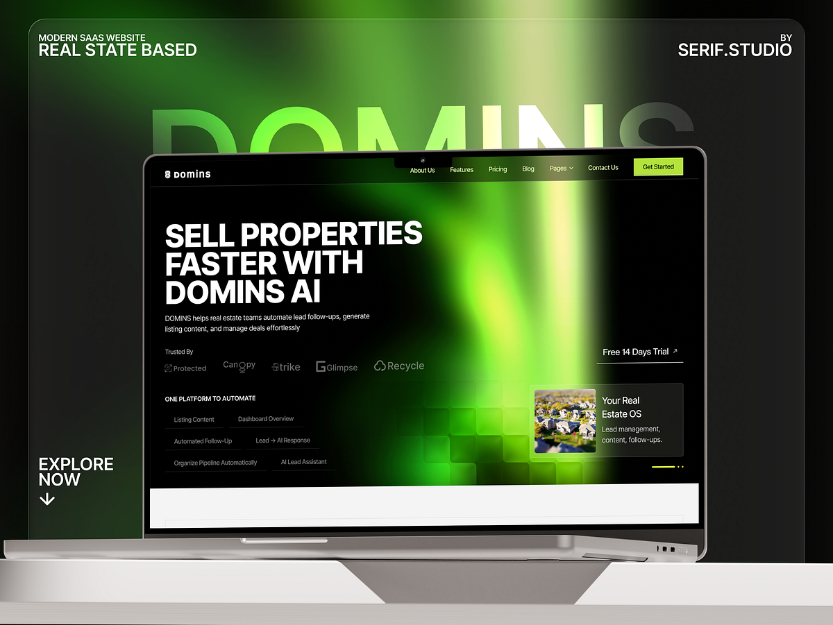 Domins - A Clean, Structured Website UI for Digital Identity