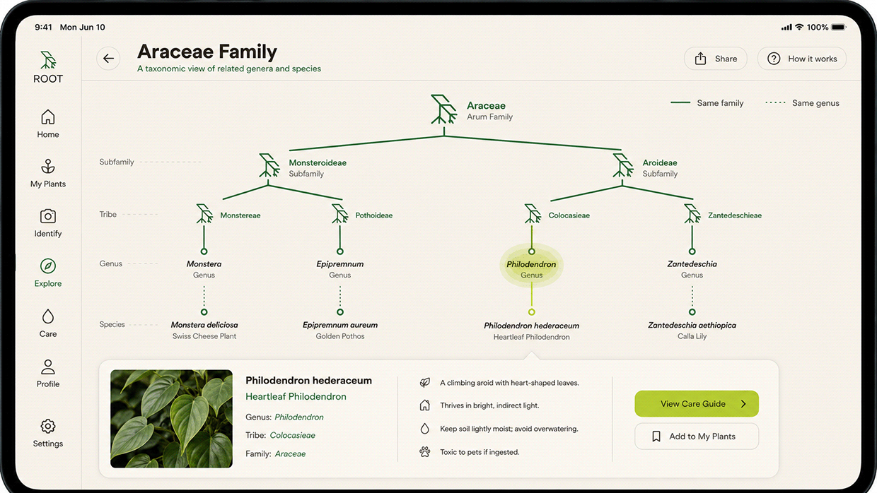 ROOT — Plant Care App Brand & UI System Image 4