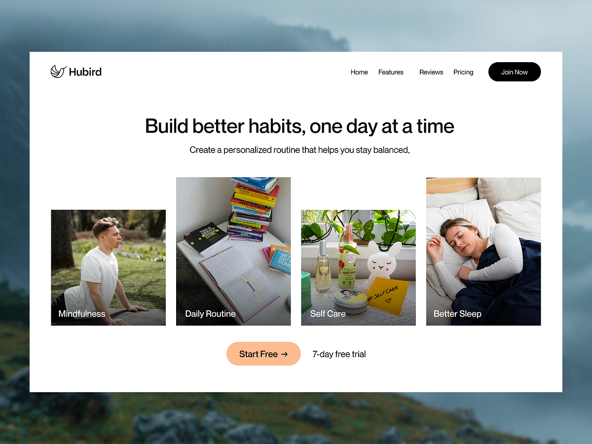 Hubird Website Hero Exploration