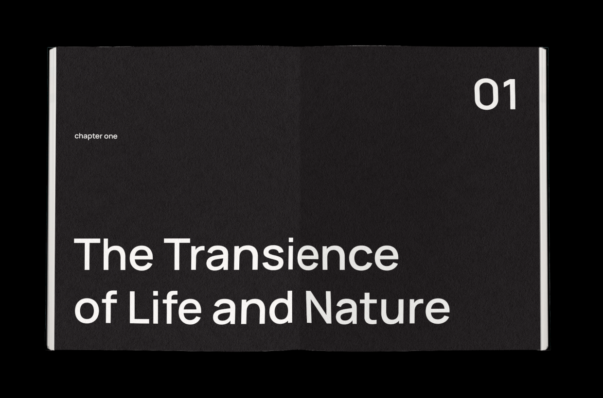 Reflections on the Edge of Time Image 1