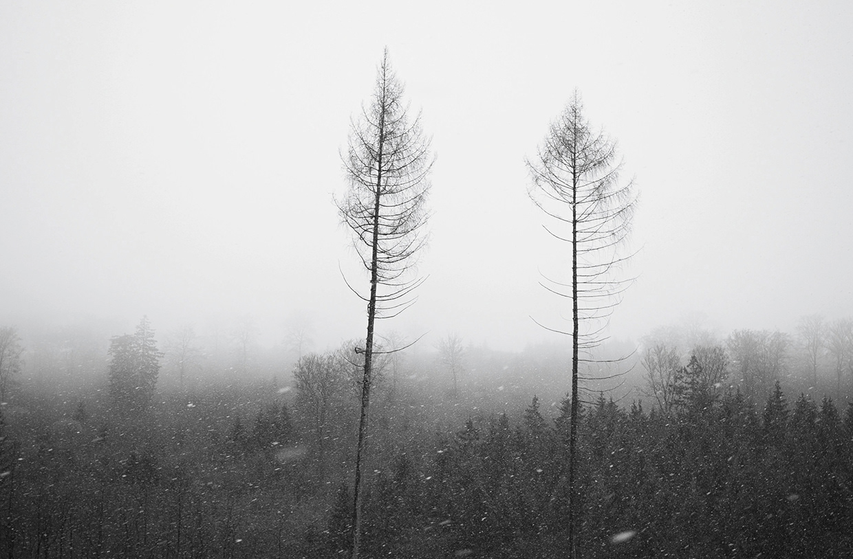 Reflections on the Edge of Time Image 10