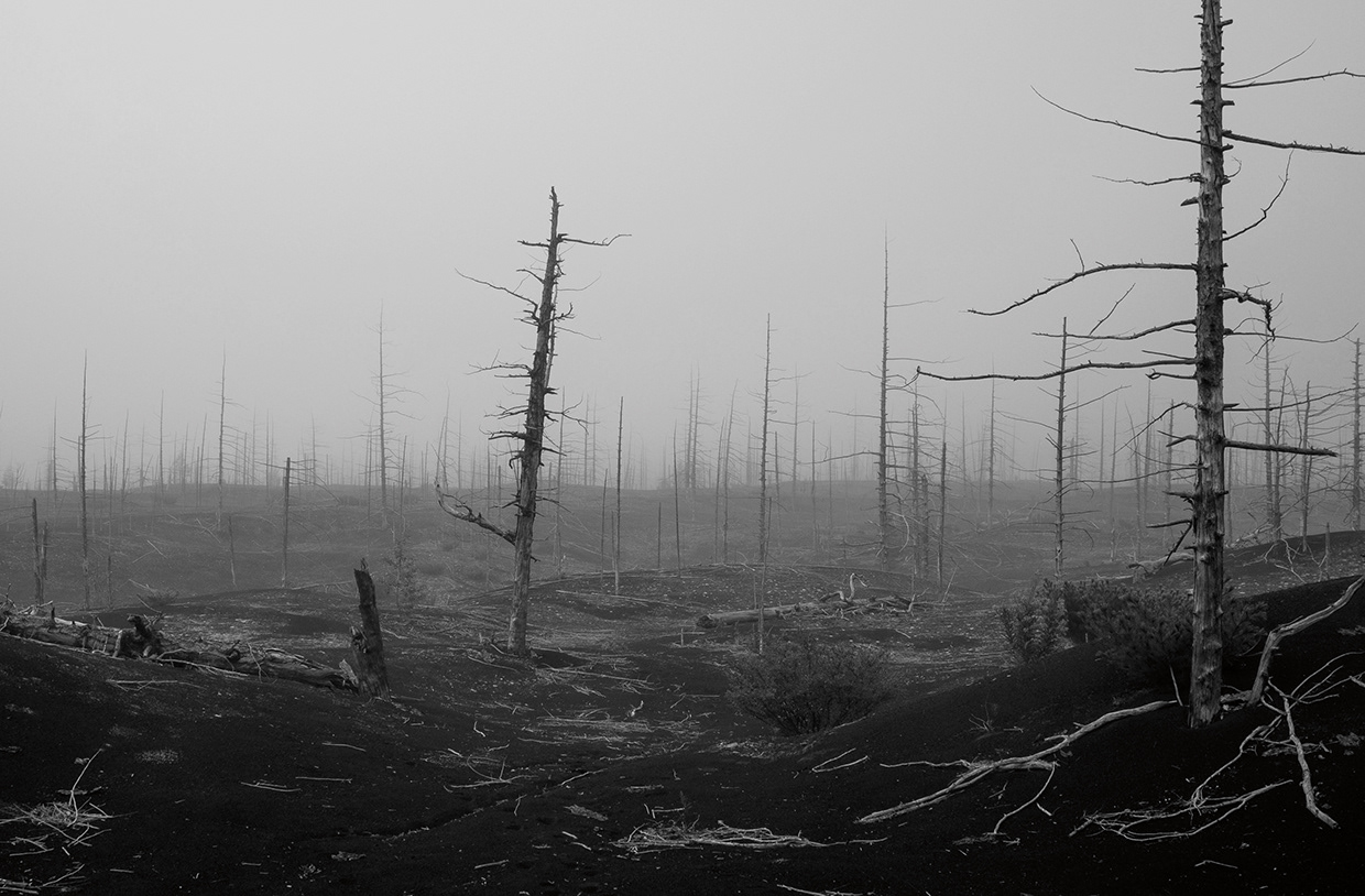 Reflections on the Edge of Time Image 14