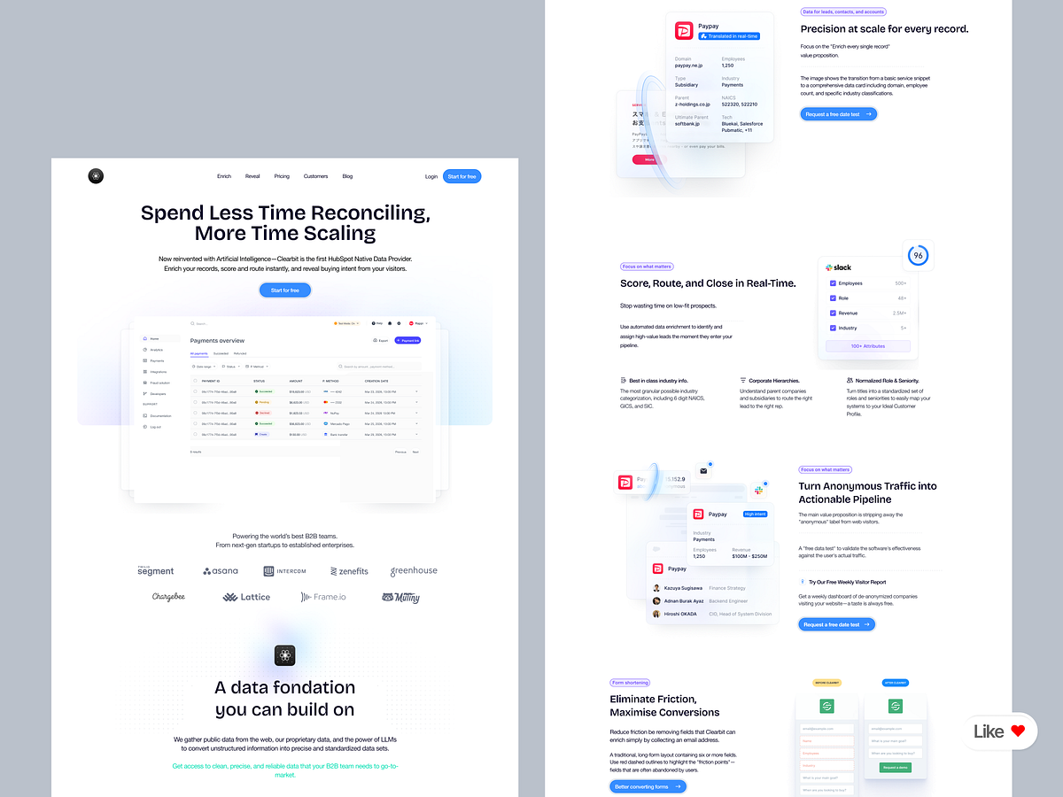 SaaS Landing Page Design: Data Enrichment & AI Scaling Image 0