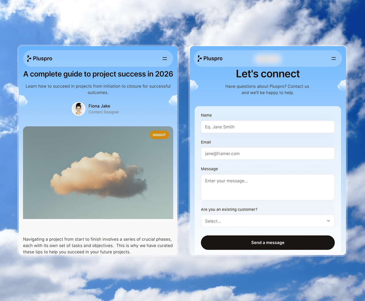PlusPro – Business & Service Platform UI/UX Case Study Image 20
