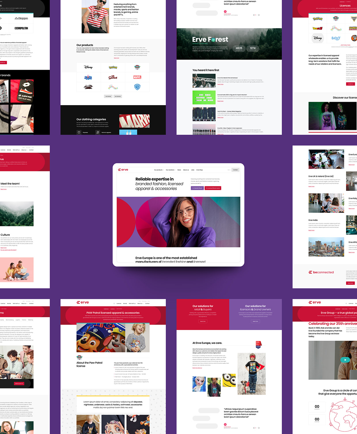 Erve website Image 3