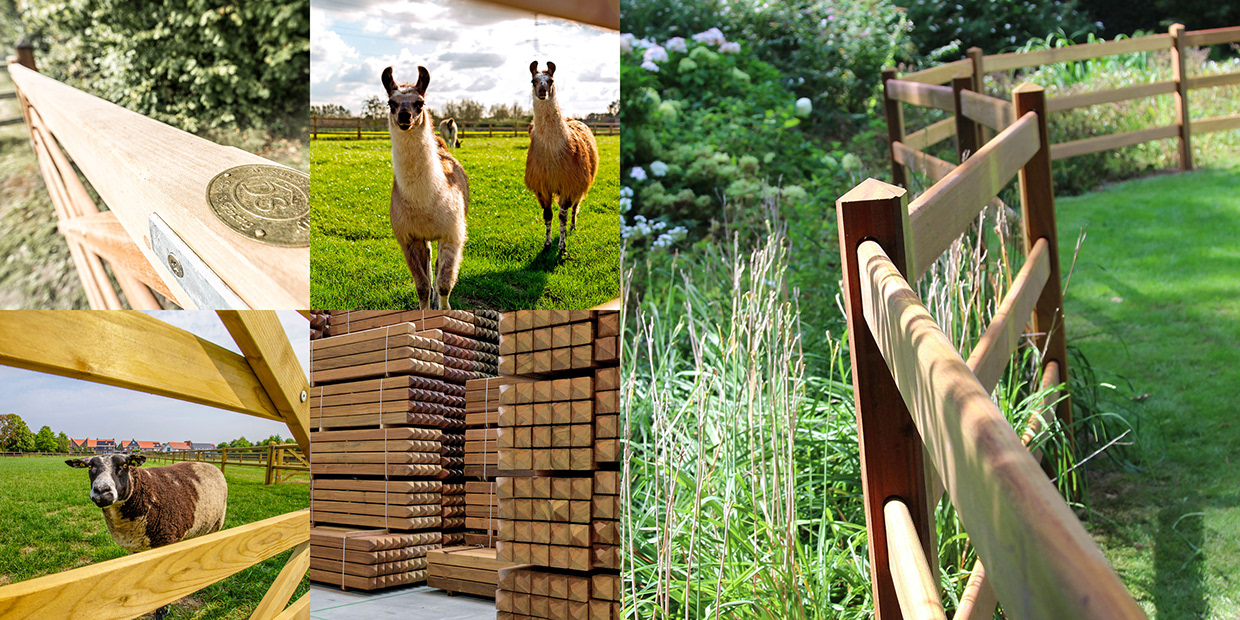 De Sutter Naturally Image 3