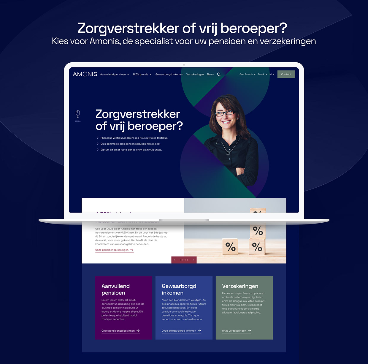 Amonis website Image 0