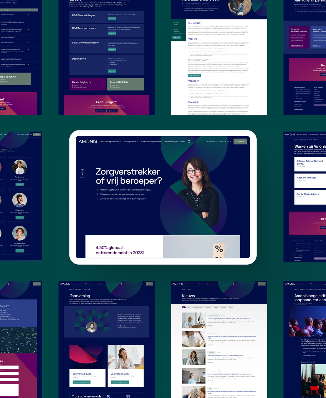 Amonis website Image 1