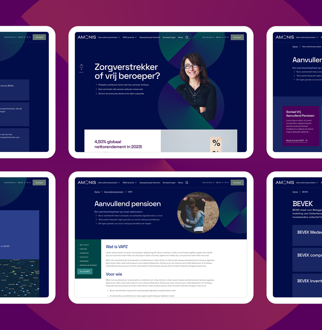 Amonis website Image 3