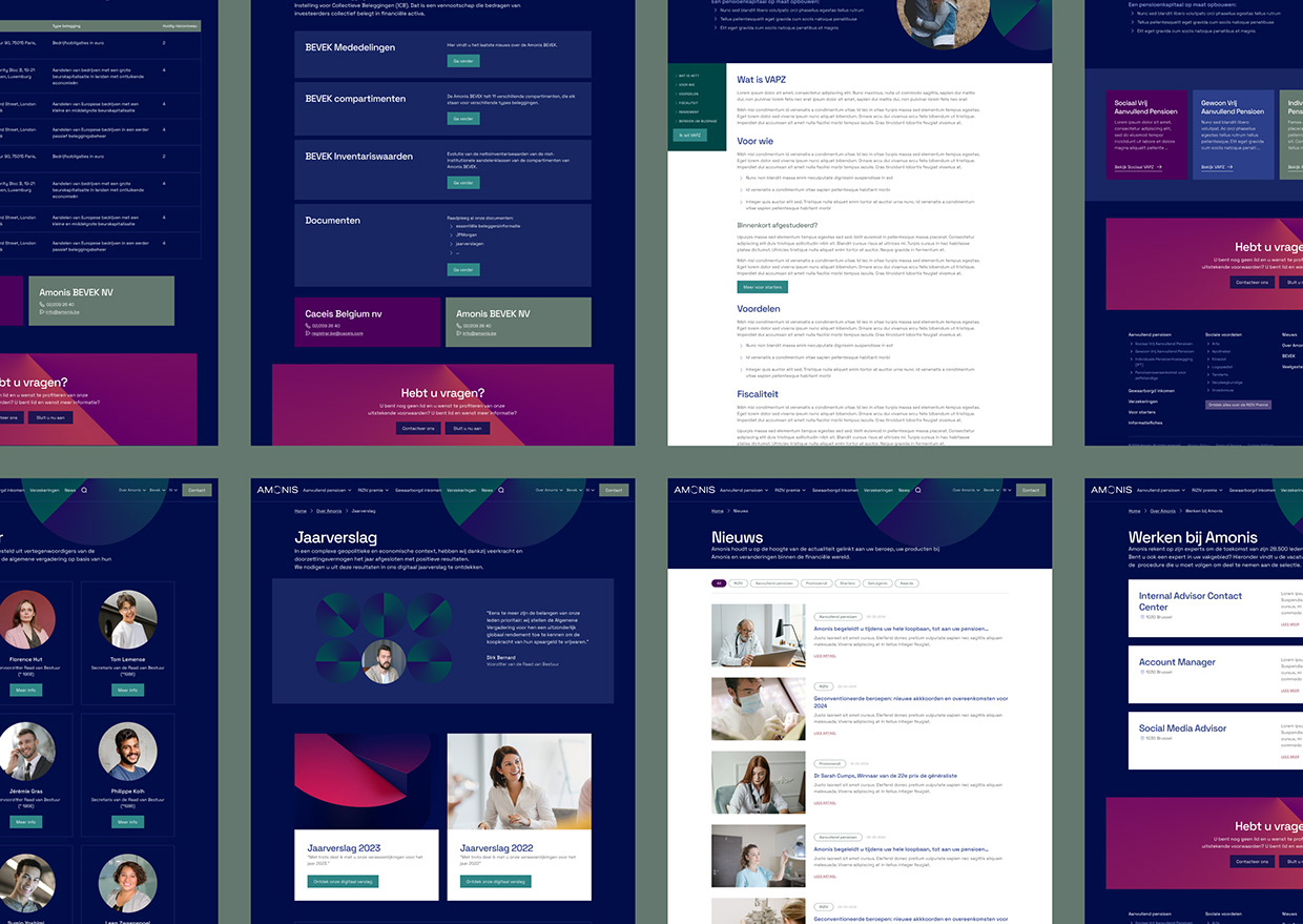 Amonis website Image 6