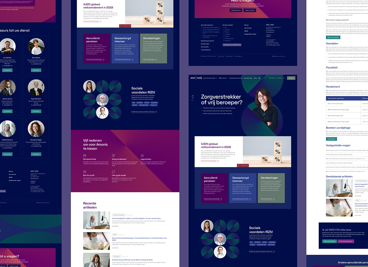 Amonis website Image 9