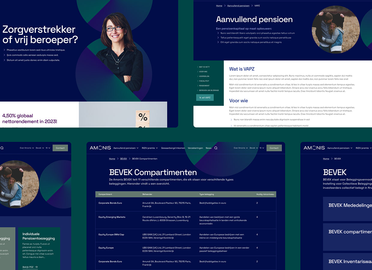 Amonis website Image 12