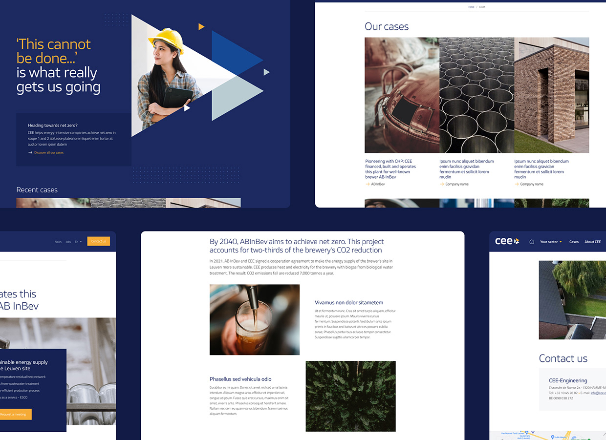 CEE website Image 11