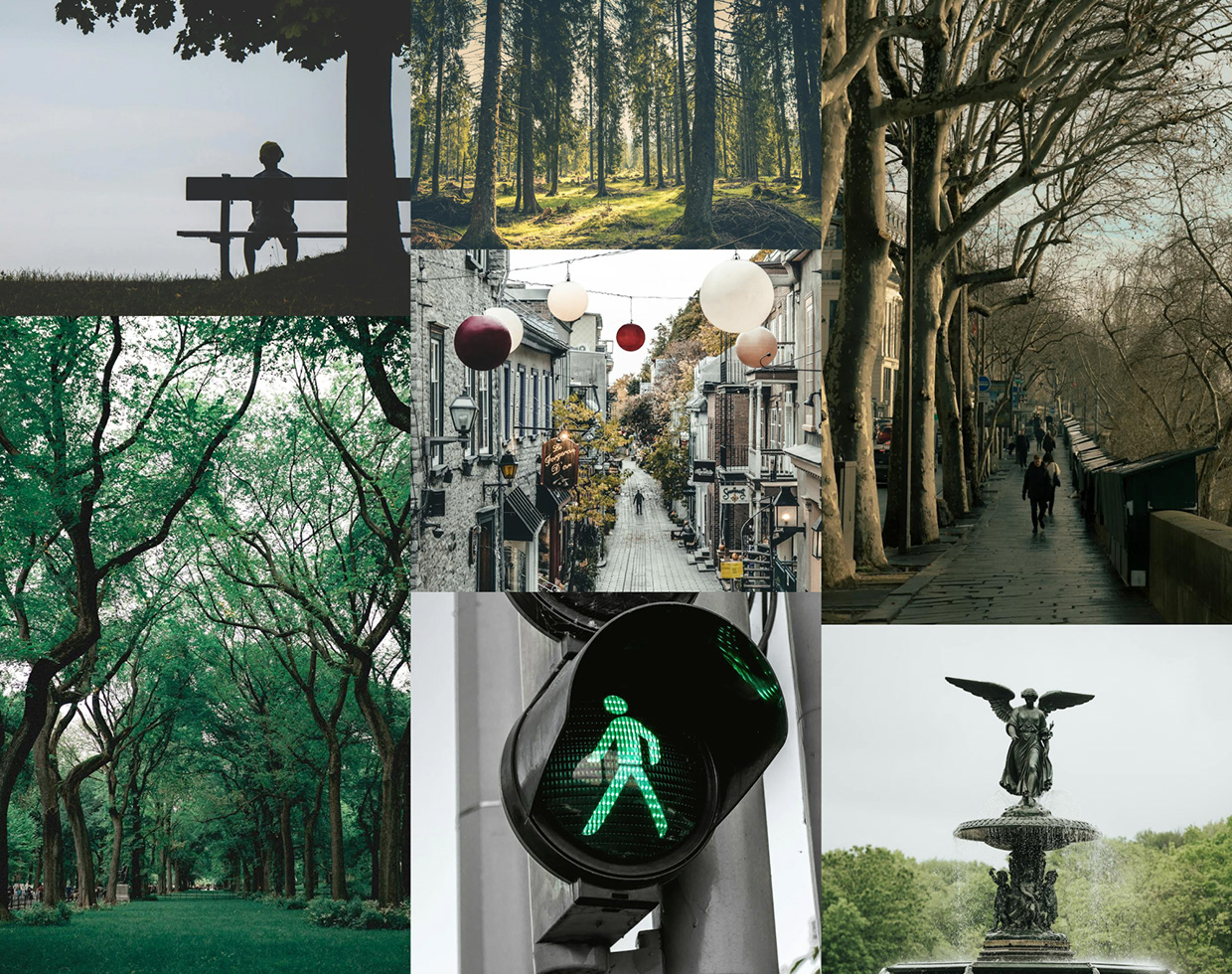 Oxygis Website Image 4