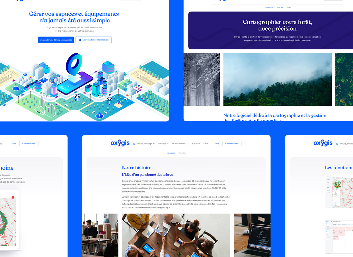 Oxygis Website Image 12