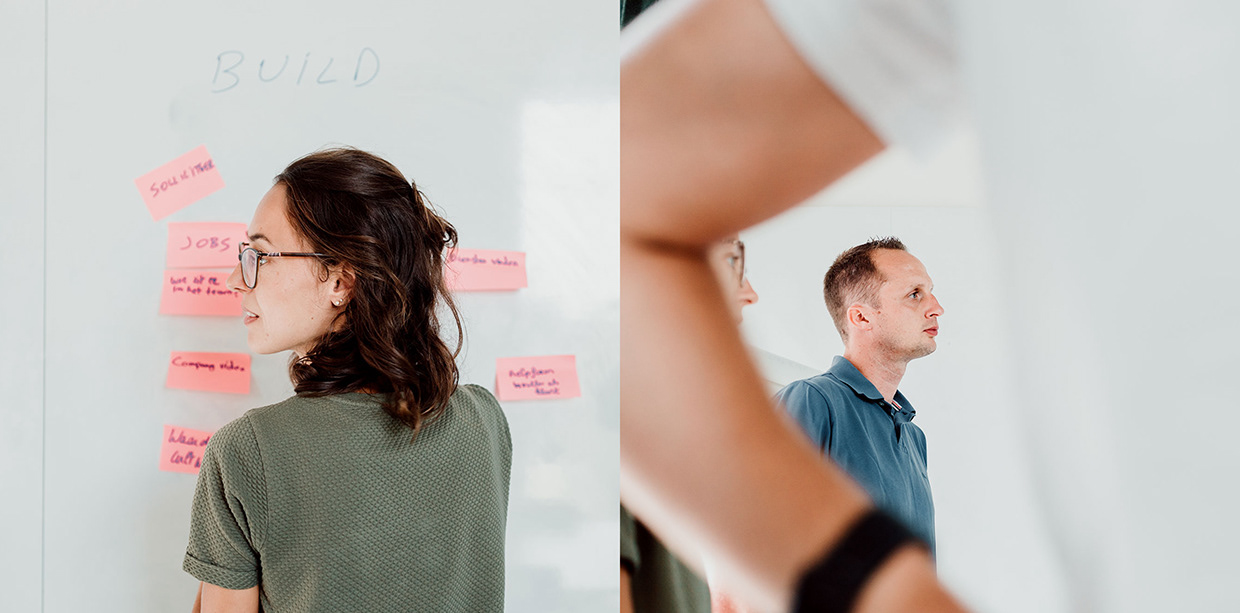 vector bross website Image 5