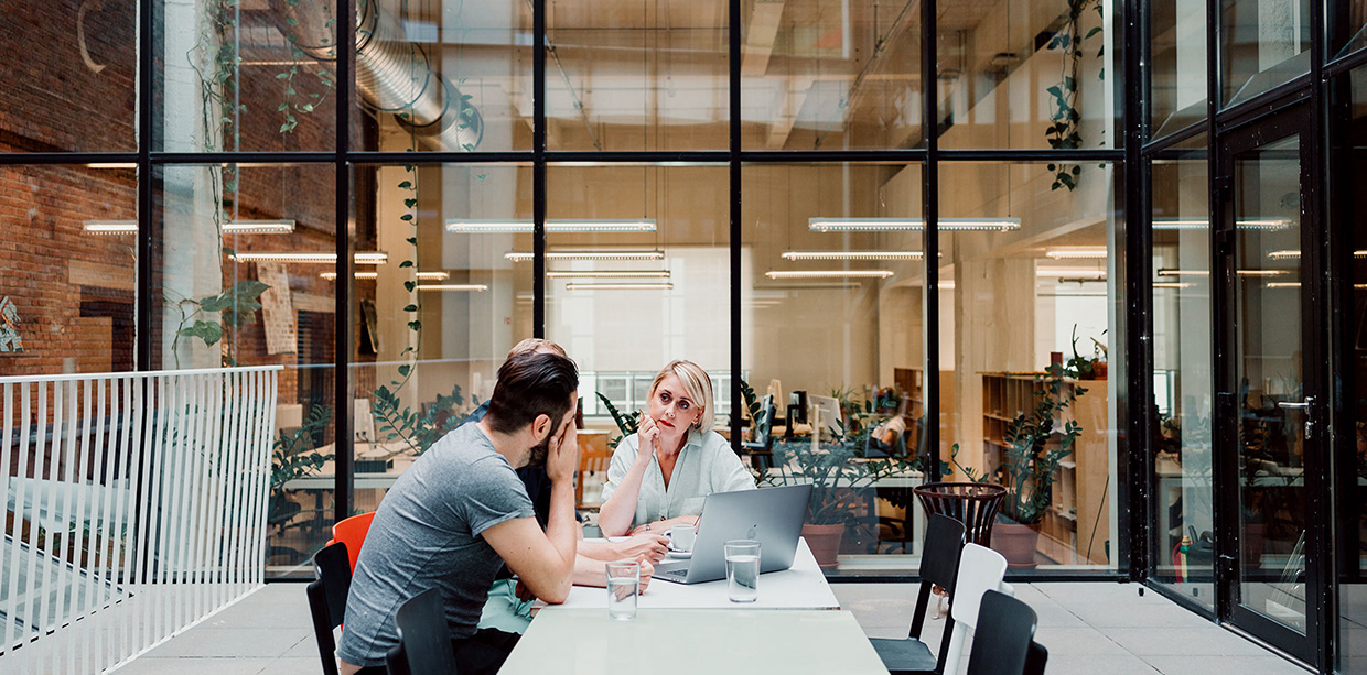 vector bross website Image 7