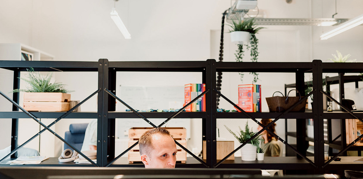 vector bross website Image 11