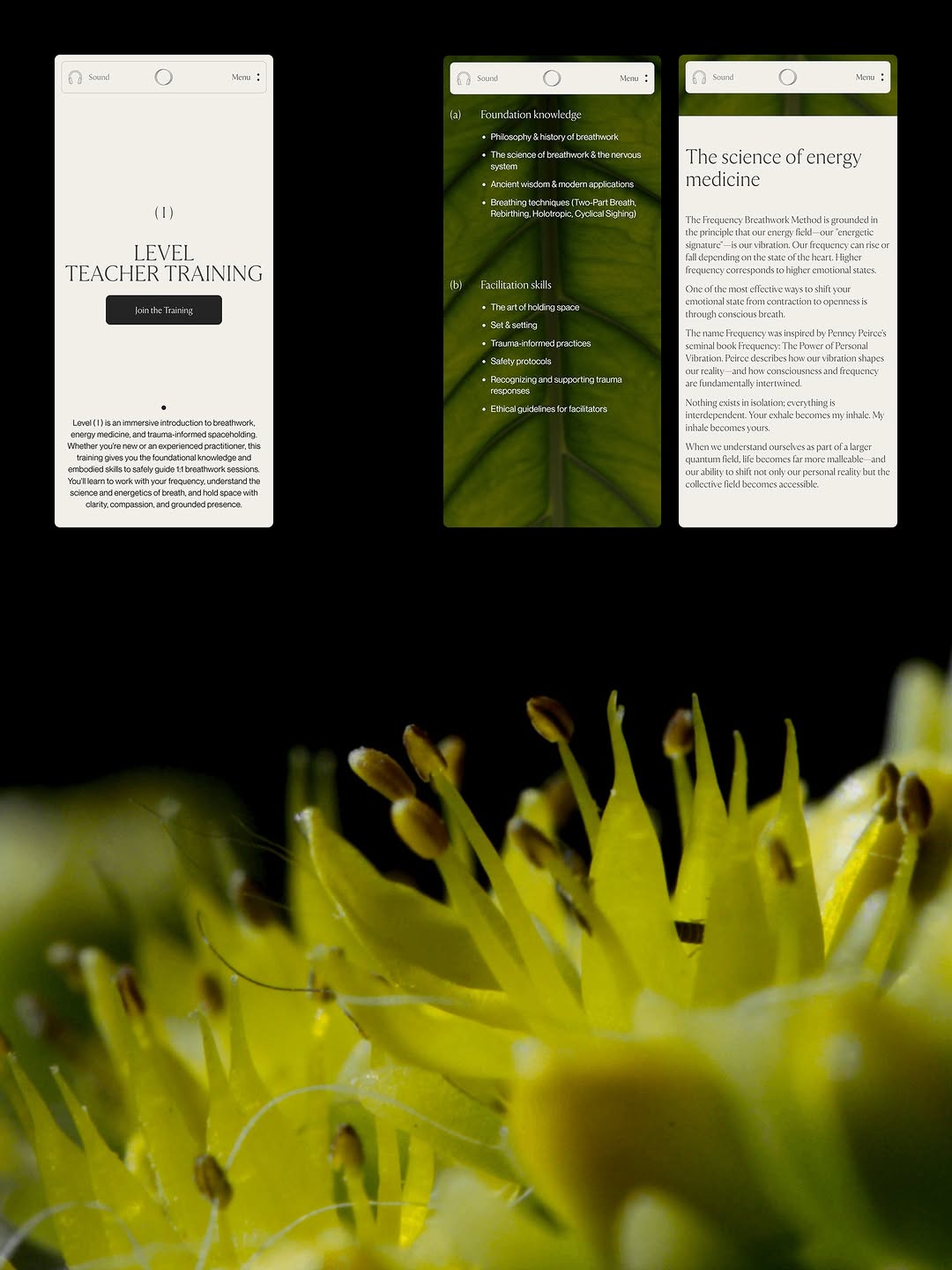 In our latest case study, Artemii Lebedev shares how „Frequency Breathwork“ became a site that embodies breath with cyclical flow, subtle motion, and WebGL strings powered by Three.js + the Web Audio API. Image 5