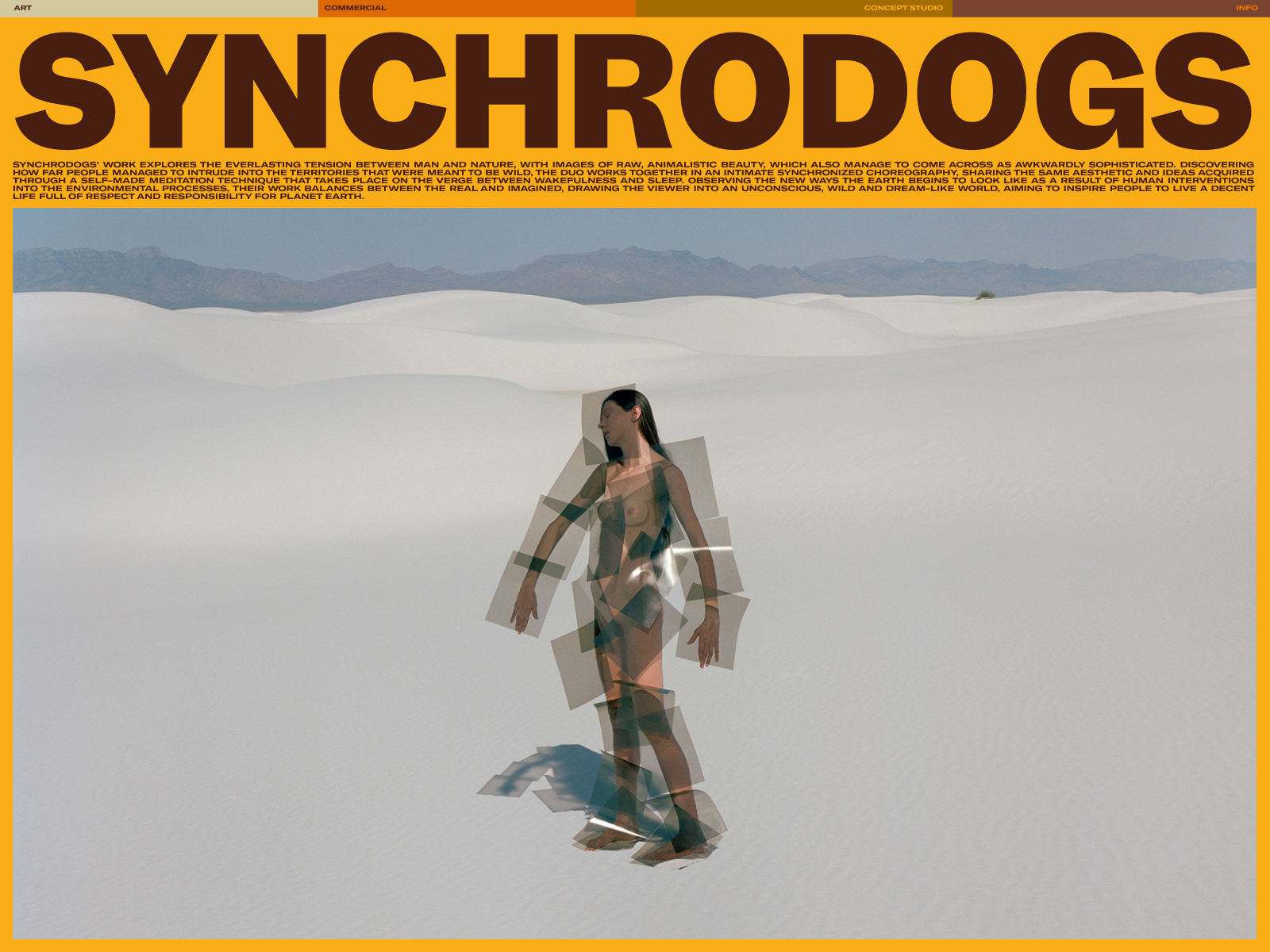 Synchrodogs Portfolio 