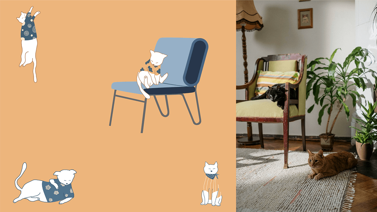 Purrcino - Coffee and Cats House Brand Identity Image 5