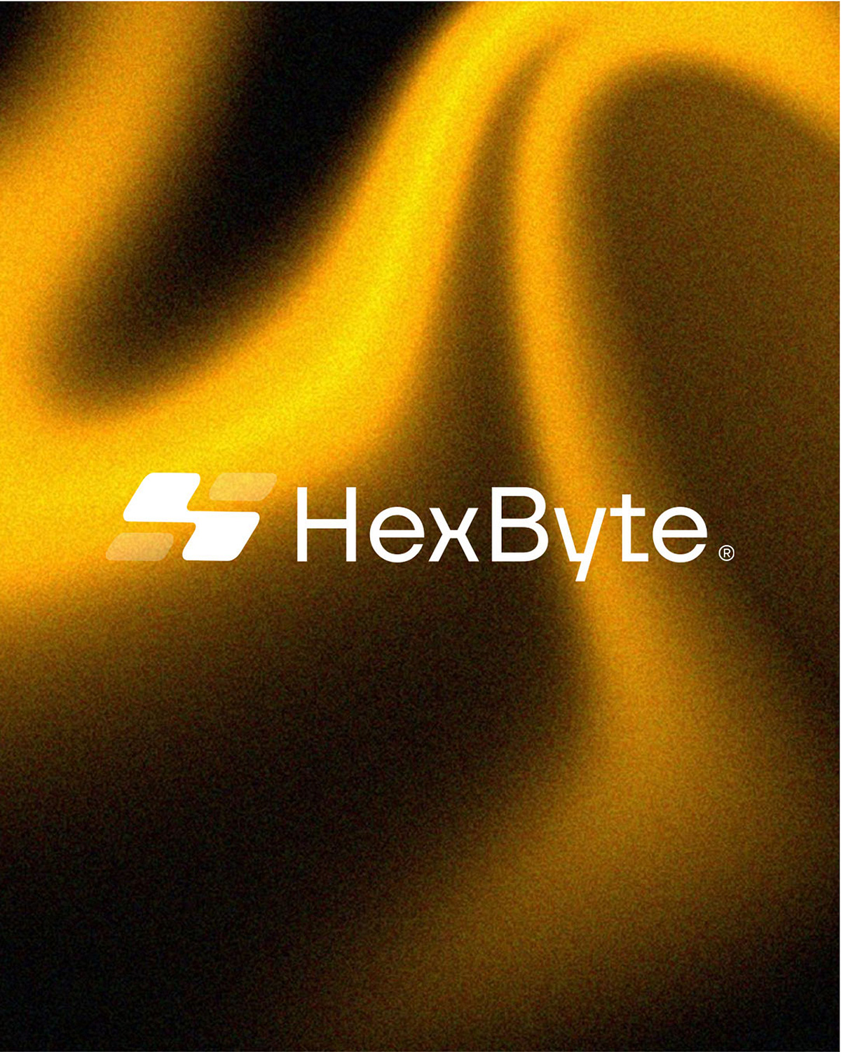 HexByte – SaaS Branding Design Image 3