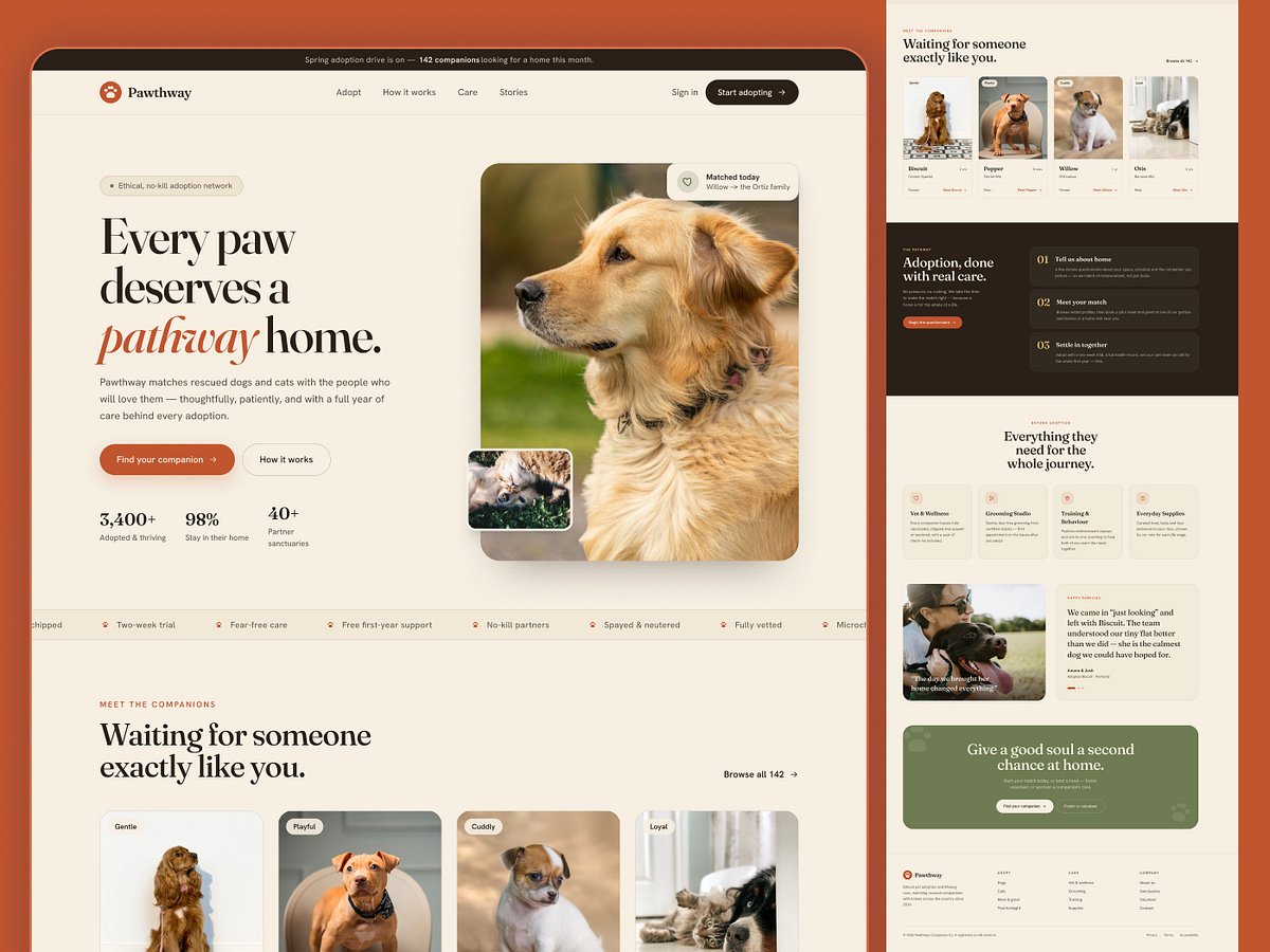 Pet Adoption Website Design