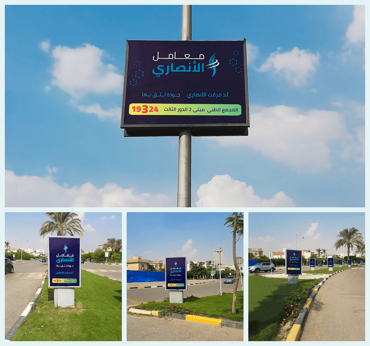 Ansary Labs | Rebranding Image 19