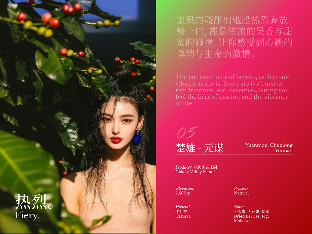 LinCoffee - Oriental Coffee & Tea Image 15